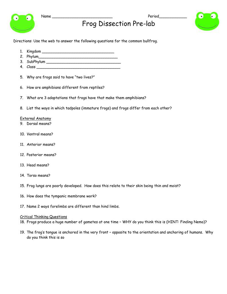 Frog Dissection Worksheet With Frog Dissection Worksheet Answer Key