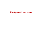 Plant genetic resources