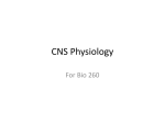 CNS Review File