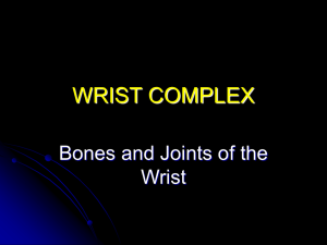 WRIST COMPLEX