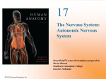 The Nervous System: Autonomic Nervous System