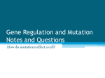 Gene Regulation and Mutation Notes and Questions