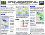 Combining Forest Tree Demography and Evolutionary History to
