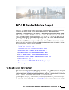 MPLS TE Bundled Interface Support