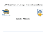 Urology Seminar