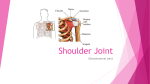 Shoulder Joint and Modalities