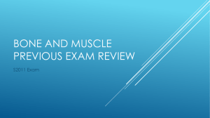 Bone and Muscle Previous Exam Review