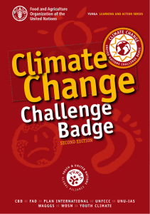 Climate change challenge badge