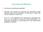 Learning and Memory