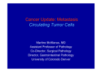 Cancer Update: Metastasis Circulating Tumor Cells