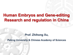 Human Embryos and Gene-editing Research in China