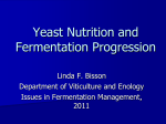 Yeast Nutrition and Fermentation Progression