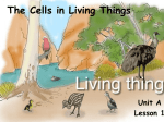 The Cells in Living Things