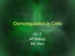 Ch. 7 Osmoregulation in Cells