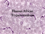Human African trypanosomiasis