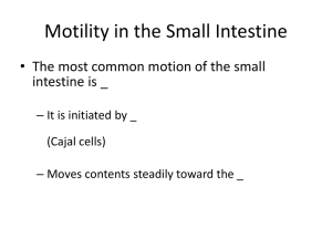 Motility in the Small Intestine