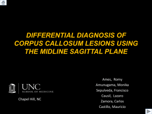 differential diagnosis of corpus callosum lesions