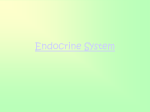 Endocrine System Lecture