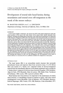 Development of neural tube basal lamina during neurulation and