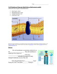 Cell Membrane Diagram (lipid bilayer,fluid mosaic model)