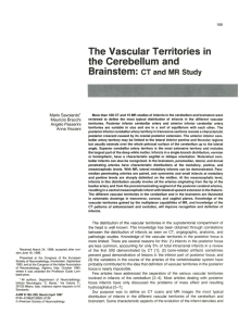 The Vascular Territories in the Cerebellum and Brainstem