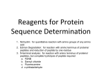 Reagents for Protein Sequence DeterminaXon