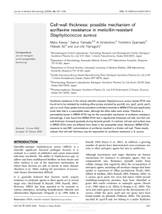 Cell-wall thickness: possible mechanism of acriflavine resistance in