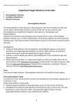 Superficial Fungal Infections of the Skin Dermatophyte infections