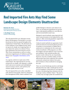 Red Imported Fire Ants May Find Some Landscape Design