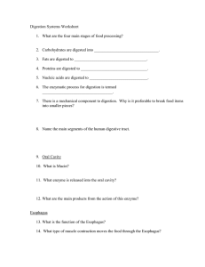 Digestion Systems questions