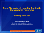 Core Elements of Hospital Antibiotic Stewardship Programs