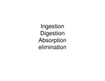 Ingestion Digestion Absorption elimination