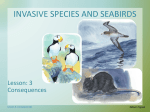 Invasive Seabirds Lesson 3 Seabirds (ppt)