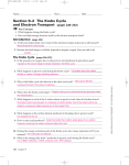 Section 9–2 The Krebs Cycle and Electron Transport (pages 226–232)