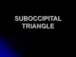 kumc 26 suboccipital triangle student