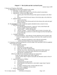 Chapter 7: The Eyelids and the Lacrimal System