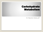 Carbohydrate Metabolism Updated