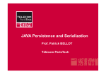 JAVA Persistence and Serialization