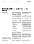 Methods of Blood Collection in the Mouse