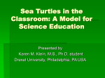 Sea Turtles PP_new - MATES-Biology-I