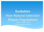 Evolution How Natural Selection Shapes Populations