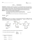 Lab Biochemistry File