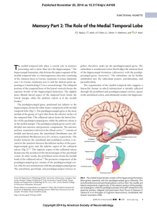 Memory Part 2: The Role of the Medial Temporal Lobe (PDF