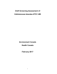 Draft Screening Assessment of Cellulomonas biazotea ATCC 486