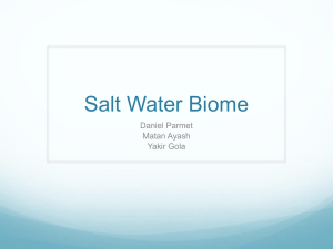 Salt Water Biome