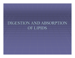 DIGESTION AND ABSORPTION OF LIPIDS