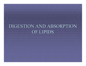 DIGESTION AND ABSORPTION OF LIPIDS