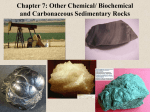 Chapter 7: Other Chemical/ Biochemical and Carbonaceous