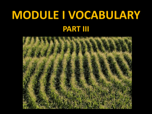 module i vocabulary part iii