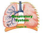 Respiratory_System 2015